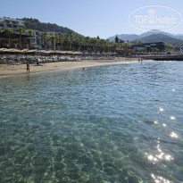 фото из отзыва ID 2699947