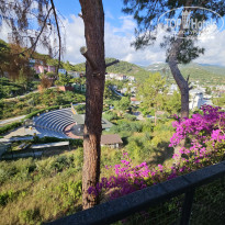 фото из отзыва ID 2699947