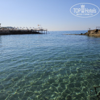 фото из отзыва ID 2699947