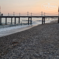 фото из отзыва ID 2699991