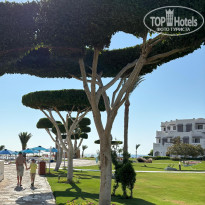 фото из отзыва ID 2699875