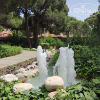 фото из отзыва ID 2699701