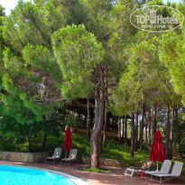 фото из отзыва ID 2696570