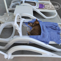 фото из отзыва ID 2699035