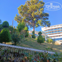 фото из отзыва ID 2696538