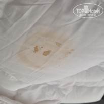 фото из отзыва ID 2698649