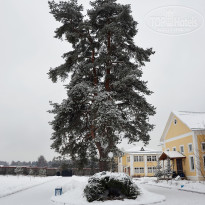 фото из отзыва ID 2699686