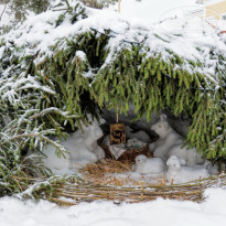 фото из отзыва ID 2699686