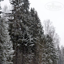 фото из отзыва ID 2699686