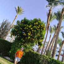 фото из отзыва ID 2697380