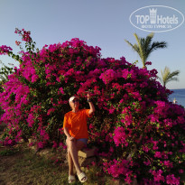 фото из отзыва ID 2697380