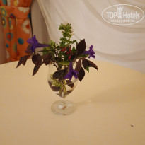 фото из отзыва ID 2697380