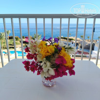 фото из отзыва ID 2697380