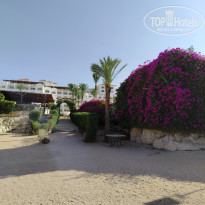 фото из отзыва ID 2697380