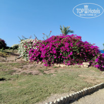 фото из отзыва ID 2697380