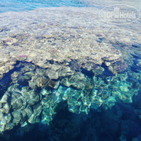 фото из отзыва ID 2697380