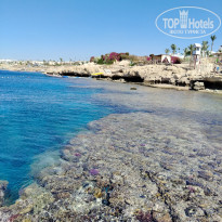 фото из отзыва ID 2697380