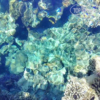 фото из отзыва ID 2697380