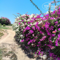 фото из отзыва ID 2697380