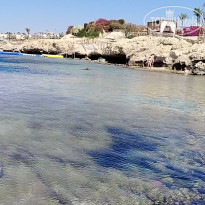 фото из отзыва ID 2697380