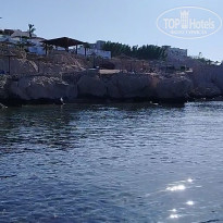 фото из отзыва ID 2697380