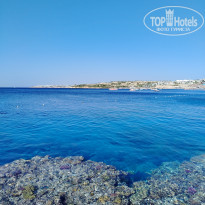 фото из отзыва ID 2697380