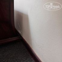 фото из отзыва ID 2699718