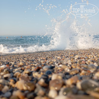 фото из отзыва ID 2699417