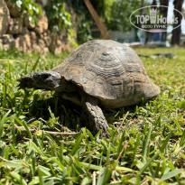 фото из отзыва ID 2697800