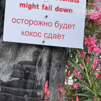 фото из отзыва ID 2699752