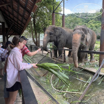 фото из отзыва ID 2699752