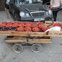 фото из отзыва ID 2699684