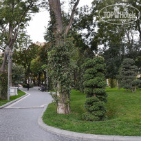 фото из отзыва ID 2699684