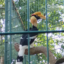 фото из отзыва ID 2698219