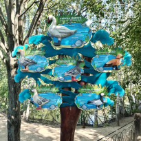 фото из отзыва ID 2698219