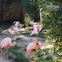 фото из отзыва ID 2698219