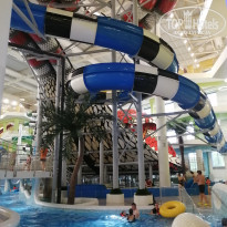 фото из отзыва ID 2698219