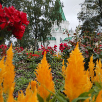 фото из отзыва ID 2698219