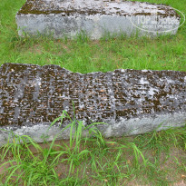 фото из отзыва ID 2699691