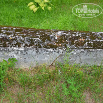 фото из отзыва ID 2699691