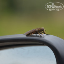 фото из отзыва ID 2699691