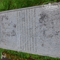 фото из отзыва ID 2699691