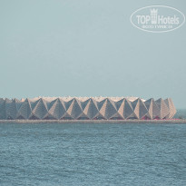 фото из отзыва ID 2699693