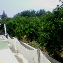 фото из отзыва ID 27016