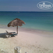 фото из отзыва ID 270065