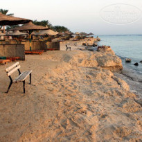 фото из отзыва ID 270495