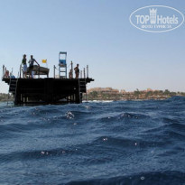 фото из отзыва ID 270495