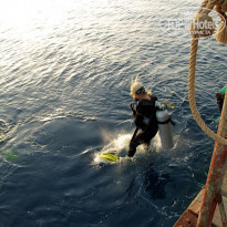 фото из отзыва ID 270495