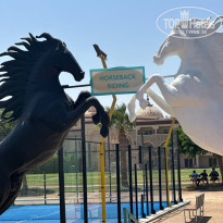 фото из отзыва ID 2700015