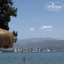 фото из отзыва ID 2700039